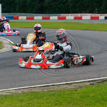 senior rotax