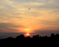 Flying Home