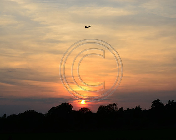 Flying Home