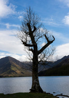 Buttermere Lake