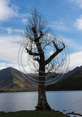 Buttermere Lake