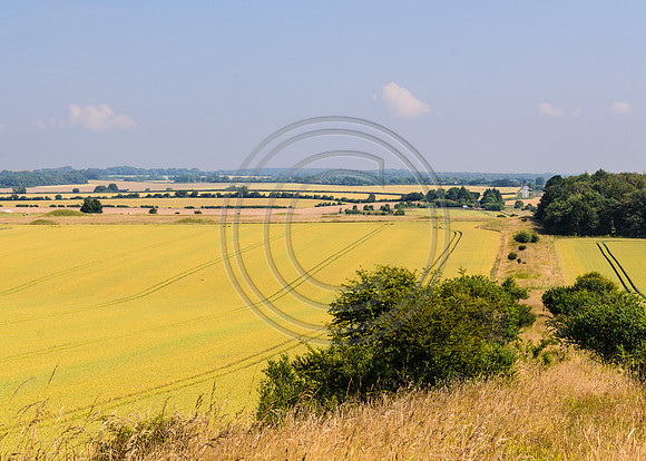 Ackling Dyke
