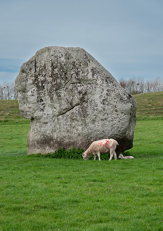 Grey Wether, Avebury