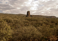Volcanic Stump