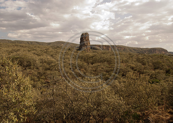 Volcanic Stump