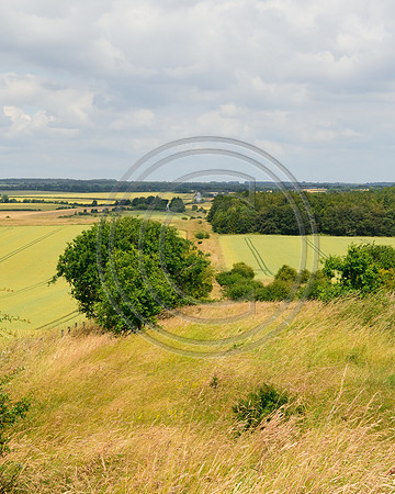 Ackling Dyke