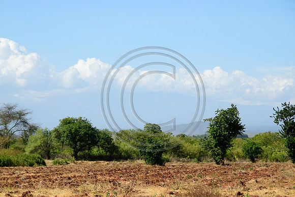 Mount Kenya