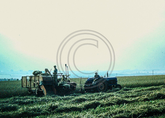Haymaking 1950s
