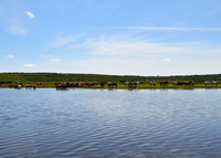 Whitten Pond