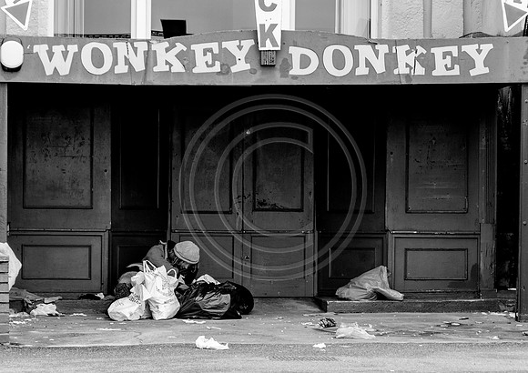 Wonkey Donkey