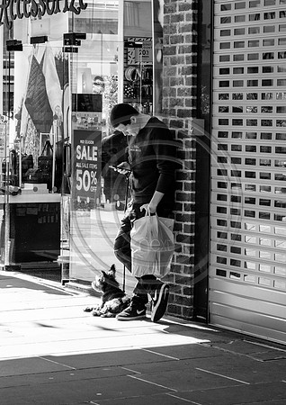 On the Dog and Phone