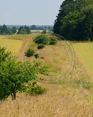 Ackling Dyke