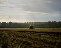 Evening Harvest in the Wylye Valley