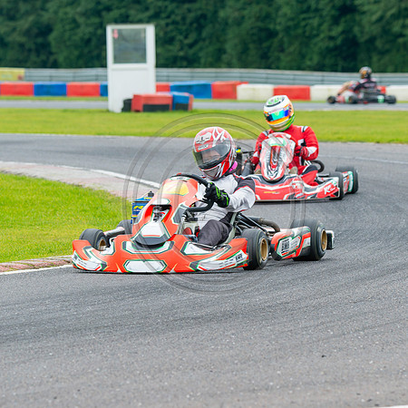 senior rotax