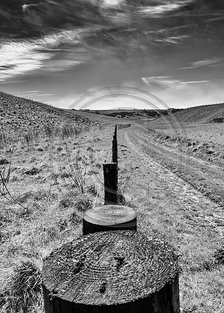 Wire to Wylye Down