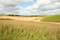 Chalk Valley