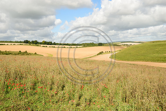 Chalk Valley