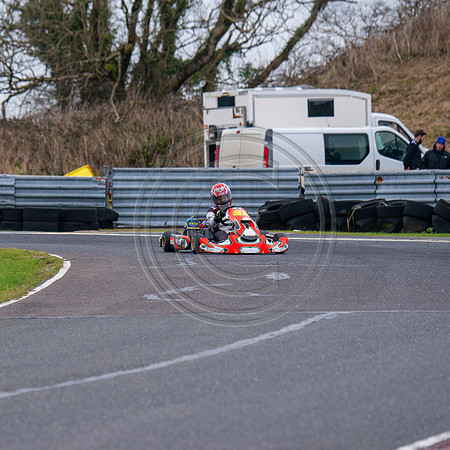 senior rotax