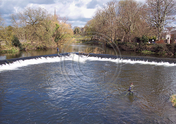 Fishing the Suir at Cahir