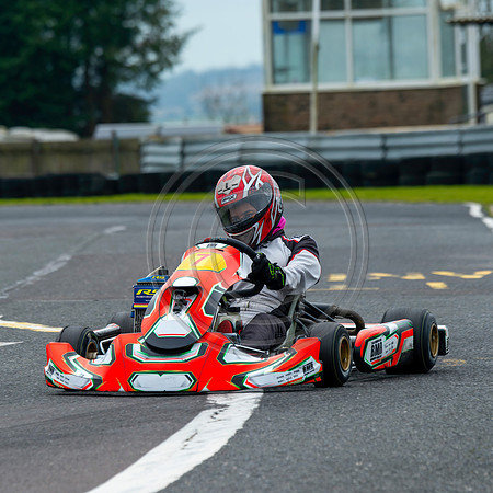 senior rotax