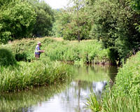 Fly Fishing on the Wylye