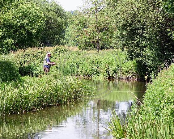 Fly Fishing on the Wylye