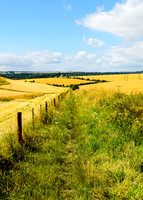 Long Straight Track, Barford St. Martin
