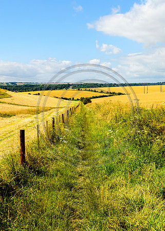 Long Straight Track, Barford St. Martin