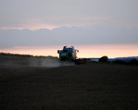 Claas meets Albert in the Wylye Valley